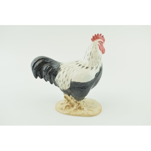 21 - Beswick Sussex Cockerel 1899.