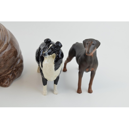 5 - A collection of Beswick dogs to include 'Hajubah of Davlen' Afgan Hound, 'Collie' and 'Doberman Pins... 