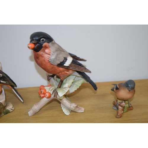 76 - A collection of Goebel birds to include 'Bullfinch' height 16cm, 'Chaffinich' height 12cm together w... 