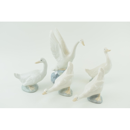 98 - A group of five Nao / Lladro Swans and Geese. Height 20cm.