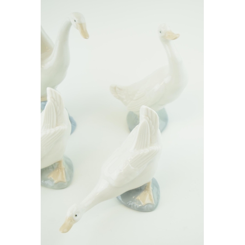 98 - A group of five Nao / Lladro Swans and Geese. Height 20cm.