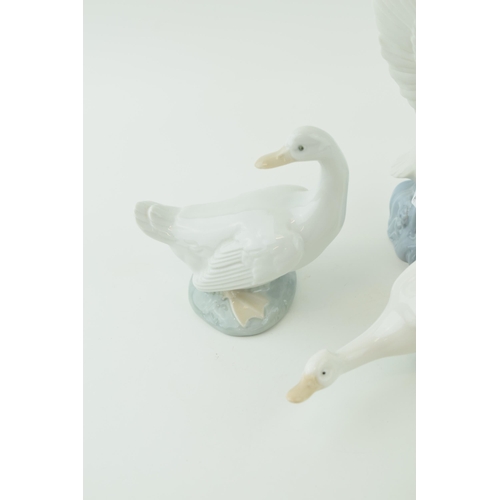 98 - A group of five Nao / Lladro Swans and Geese. Height 20cm.