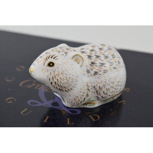 236 - Royal Crown Derby paperweight, Riverbank Vole, a Collectors Guild Exclusive, gold stopper and red pr... 