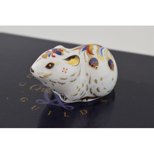 237 - Royal Crown Derby Paperweight, Bank Vole, an exclusive for the Royal Crown Derby Collectors Guild, g... 