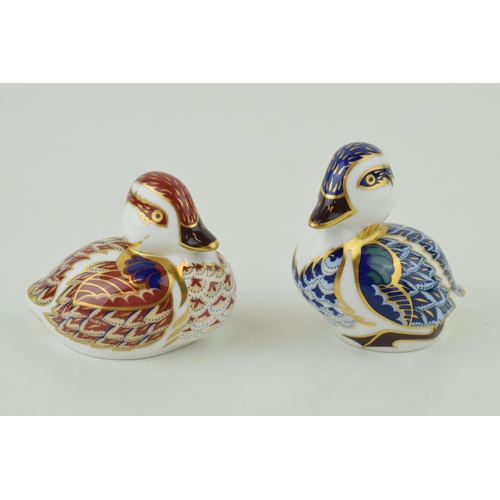 301 - Two Royal Crown Derby paperweights, Swimming Duckling, date code for 1998 (LXI), and Sitting Ducklin... 