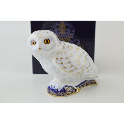 308 - Royal Crown Derby paperweight, Snowy Owl, an exclusive for the Royal Crown Derby Collectors Guild, r... 