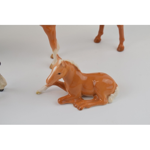 37 - Beswick to include a brown 818 shire horse, a large shire foal 953 (damaged ears), a palomino 915 an... 