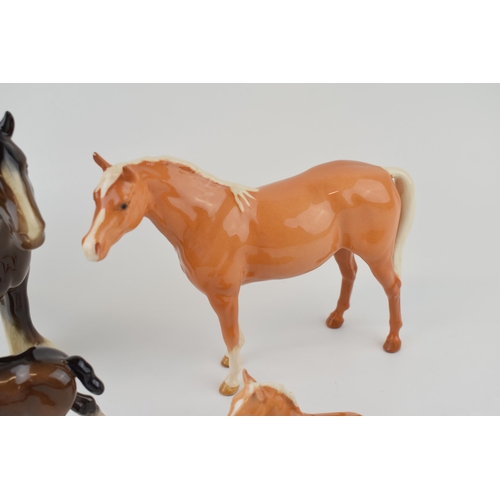 37 - Beswick to include a brown 818 shire horse, a large shire foal 953 (damaged ears), a palomino 915 an... 