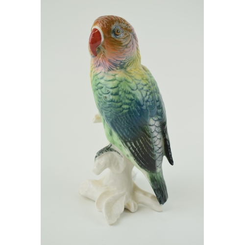 95 - Karl Ens figure of a Love Bird Parakeet on a branch. Height 15cm.