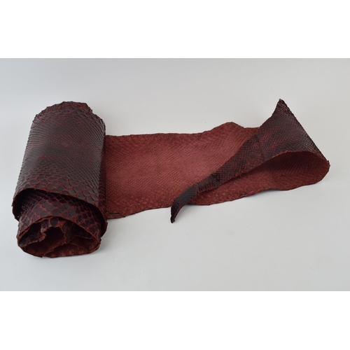 203 - A snake skin dyed maroon suitable for crafting or leatherwork. Section has been cut out. Length 267c... 