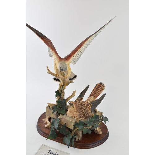 104 - Border Fine Arts 'The Kestrels' Model No. L100 by David Burnham Smith, Limited Edition of 950, on wo... 