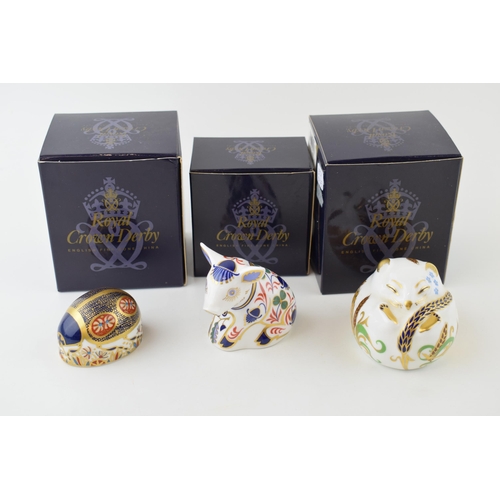 160 - Boxed Royal Crown Derby paperweights to include a Sitting Piglet, a Blue Ladybird and a Sleeping Dor... 