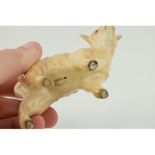 21 - Beswick Charolais Calf.