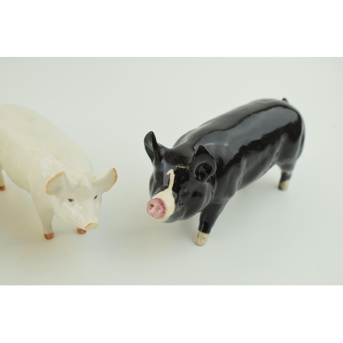 27 - Beswick pigs to include a Sow CH. Wall Queen 40th 1452, Boar CH Wall Champion Boy, Berkshire Boar an... 