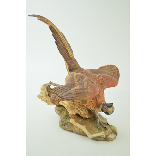 41 - Beswick large crouching pheasant, natural colours, 29cm long.