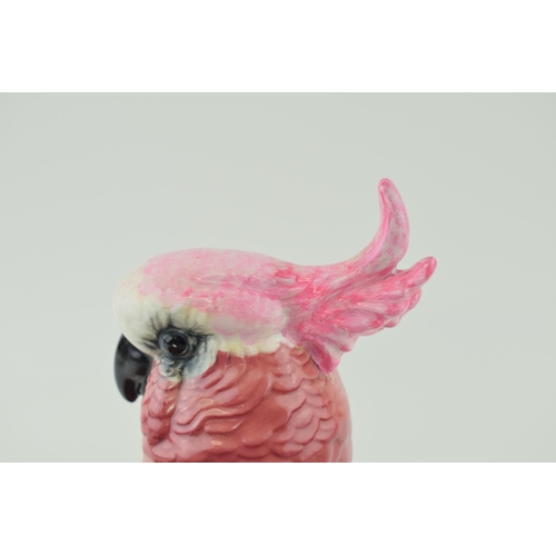 44 - Beswick Cockatoo 1180 (restored tail feather).