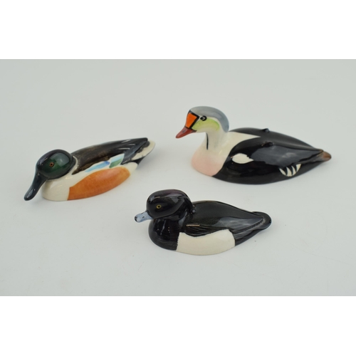 9 - Beswick Peter Scott ducks to include a Shoveler, a King Eider and one other (3).