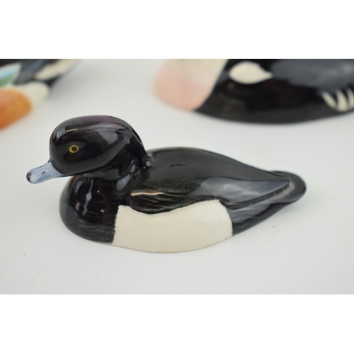 9 - Beswick Peter Scott ducks to include a Shoveler, a King Eider and one other (3).