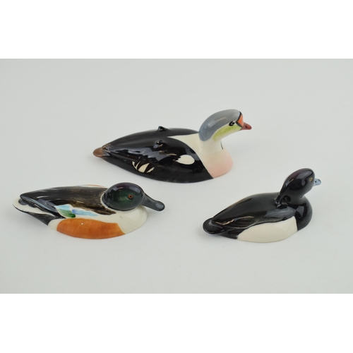 9 - Beswick Peter Scott ducks to include a Shoveler, a King Eider and one other (3).