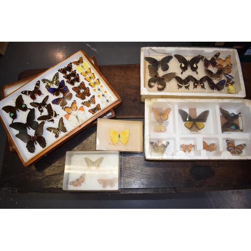 408 - A collection of vintage butterfly specimens to include one in a wooden case. (Qty)