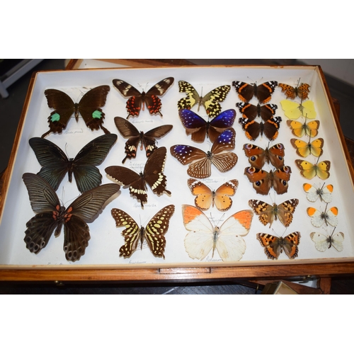 408 - A collection of vintage butterfly specimens to include one in a wooden case. (Qty)