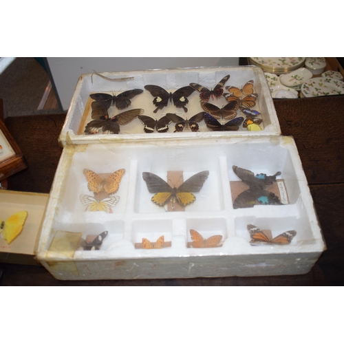 408 - A collection of vintage butterfly specimens to include one in a wooden case. (Qty)