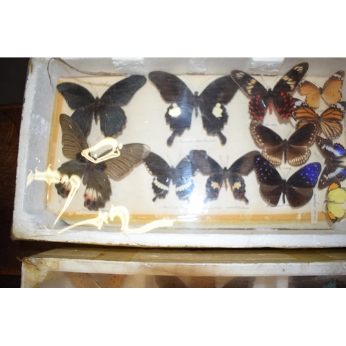 408 - A collection of vintage butterfly specimens to include one in a wooden case. (Qty)