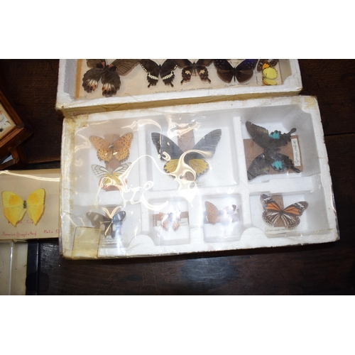 408 - A collection of vintage butterfly specimens to include one in a wooden case. (Qty)