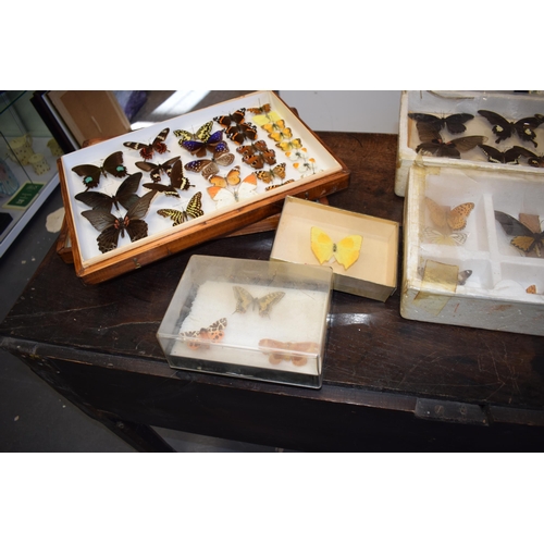 408 - A collection of vintage butterfly specimens to include one in a wooden case. (Qty)