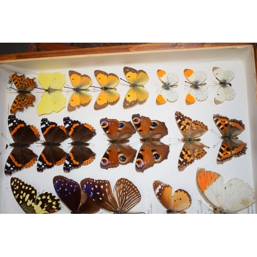 408 - A collection of vintage butterfly specimens to include one in a wooden case. (Qty)