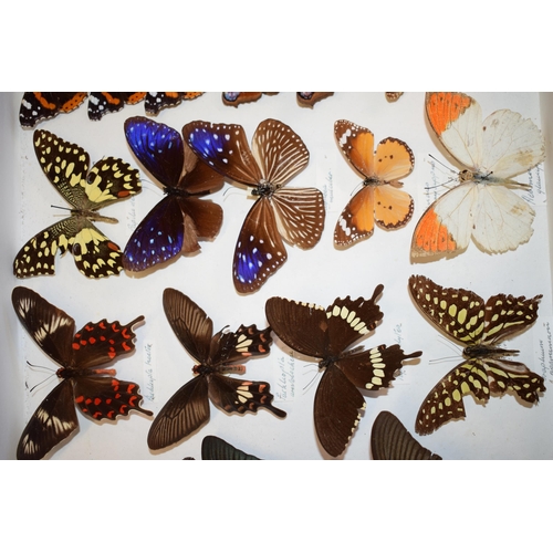 408 - A collection of vintage butterfly specimens to include one in a wooden case. (Qty)