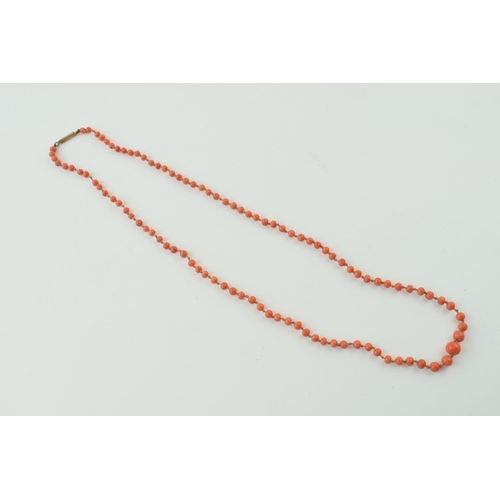 603 - A set of graduated coral beads, strung as a necklace, 54cm long.