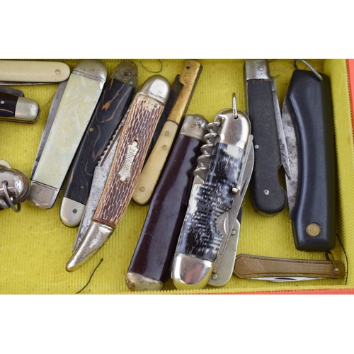 378 - A large Collection of Pocket Knives in a Collectors Cabinet to include Opinol, Herbert Roberts Sheff... 