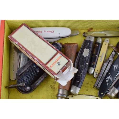 378 - A large Collection of Pocket Knives in a Collectors Cabinet to include Opinol, Herbert Roberts Sheff... 