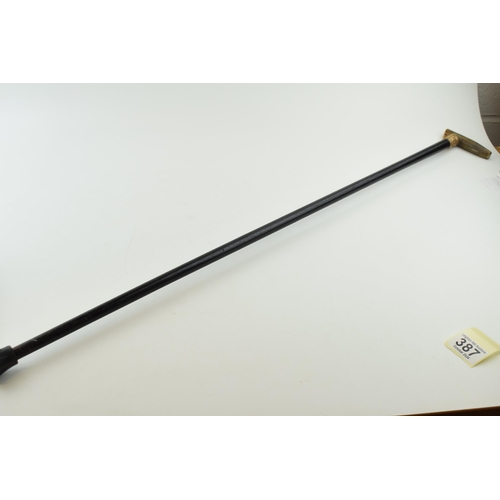 387 - Edwardian ebonised walking stick, gold plated collar, horn handle, 89.5cm long.