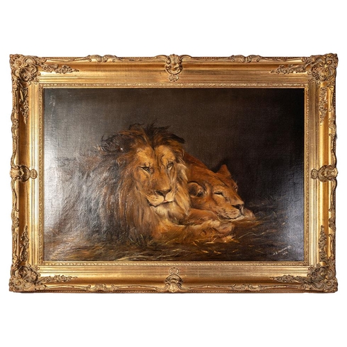 117 - J. Mackereth, after Landseer, 1911. Oil on canvas of Lion and Lioness in gilt frame.  60cm x 90cm