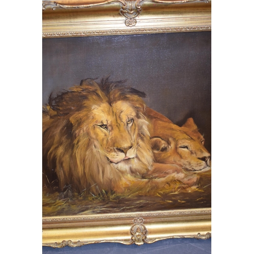 117 - J. Mackereth, after Landseer, 1911. Oil on canvas of Lion and Lioness in gilt frame.  60cm x 90cm