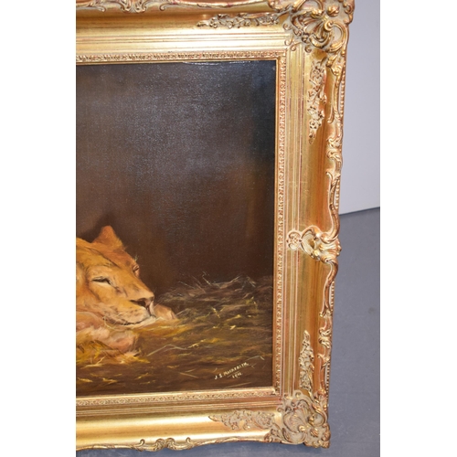 117 - J. Mackereth, after Landseer, 1911. Oil on canvas of Lion and Lioness in gilt frame.  60cm x 90cm