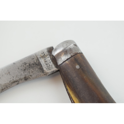 15 - Horn Handle Flat Cap Pruner or Pruning Pocket Knife, Sheffield Made, c1900