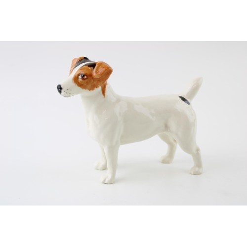 25 - Beswick large Jack Russell.