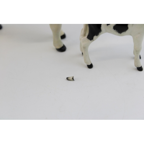 39 - Beswick Friesian Cow (horns af / broken) with a Calf (ear chipped) (2).