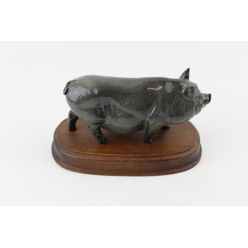 100 - Beswick / Doulton Vietnamese Pot Bellied Pig on wooden base.