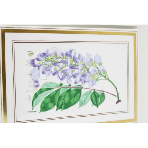 5 - Two Royal Worcester Botanical Studies plaques to include Wistaria and Potentilla (2), 26cm long.