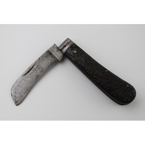 30A - A scarce Farmer Colchester marked Sheffield made bone handle pruner pruning Pocket knife c1900