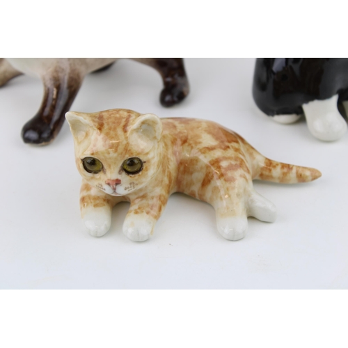 116 - A trio of Winstanley pottery cats to include a Siamese cat, a ginger kitten and one other, 15cm tall... 