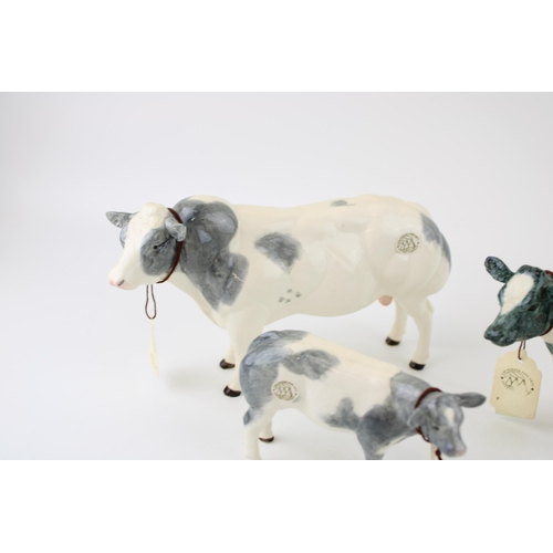 152 - Border Fine Arts pottery Belgian Blue family to include a cow, bull and calf (3).