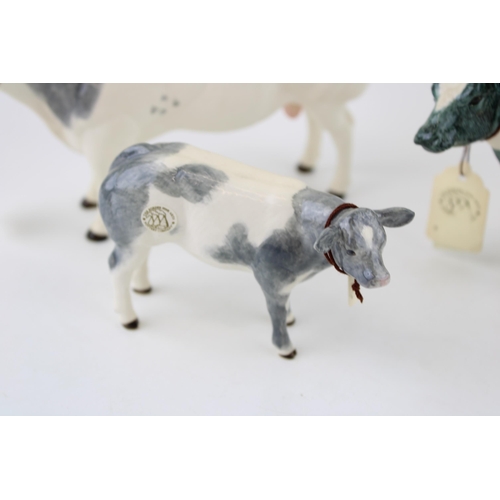 152 - Border Fine Arts pottery Belgian Blue family to include a cow, bull and calf (3).