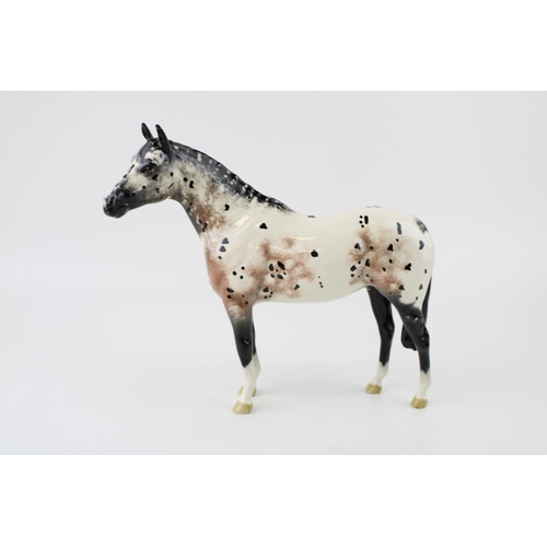 163 - Beswick Appaloosa Stallion Horse. Model 1772, black & white gloss. Height 19cm.