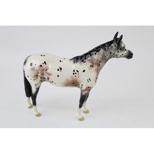 163 - Beswick Appaloosa Stallion Horse. Model 1772, black & white gloss. Height 19cm.