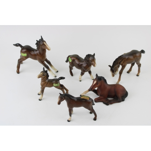 173 - Beswick to include brown foals such as a brown matte brown 915 lying foal, a Shetland foal and other... 